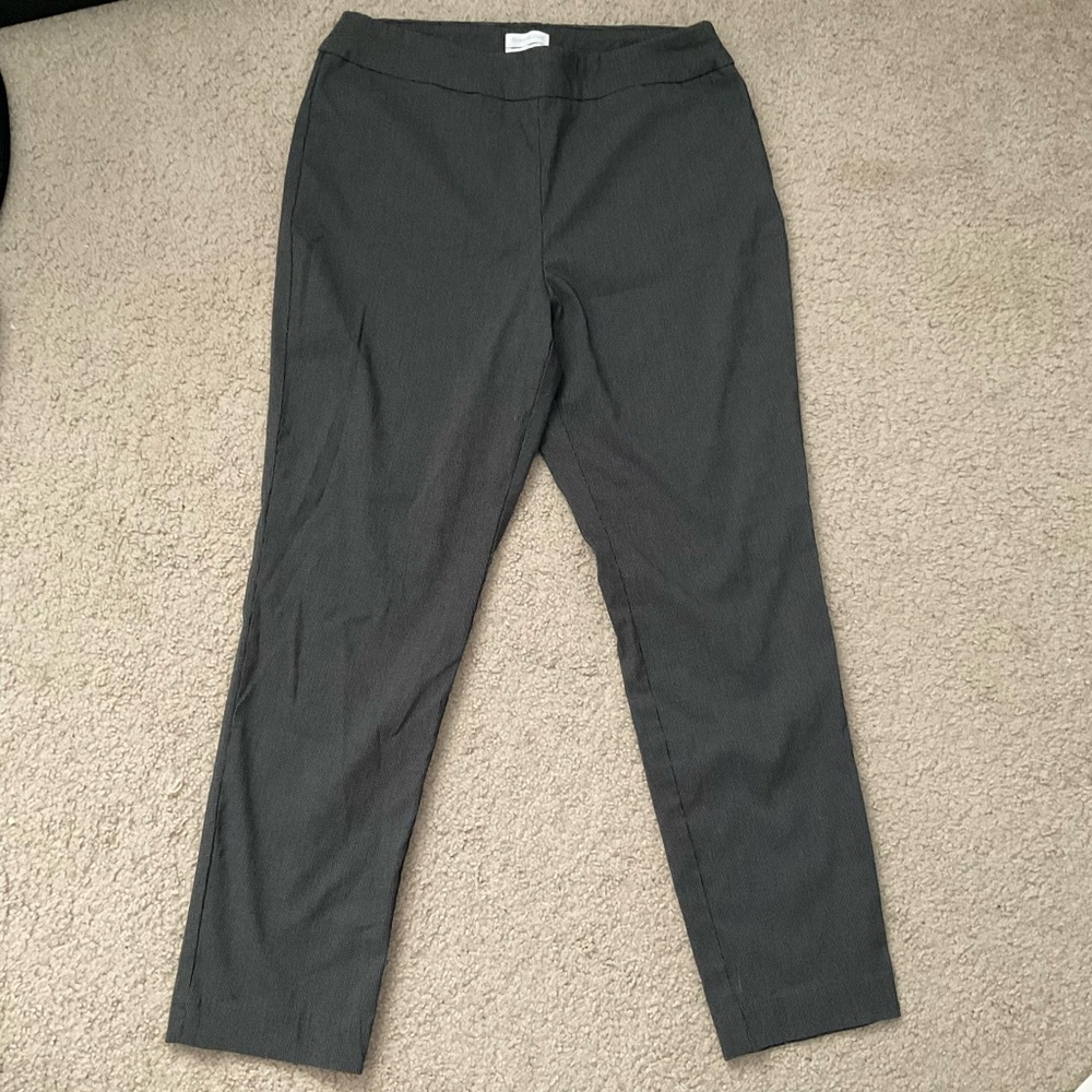 Charter Club Cambridge Skinny Dress Pant, Size 14